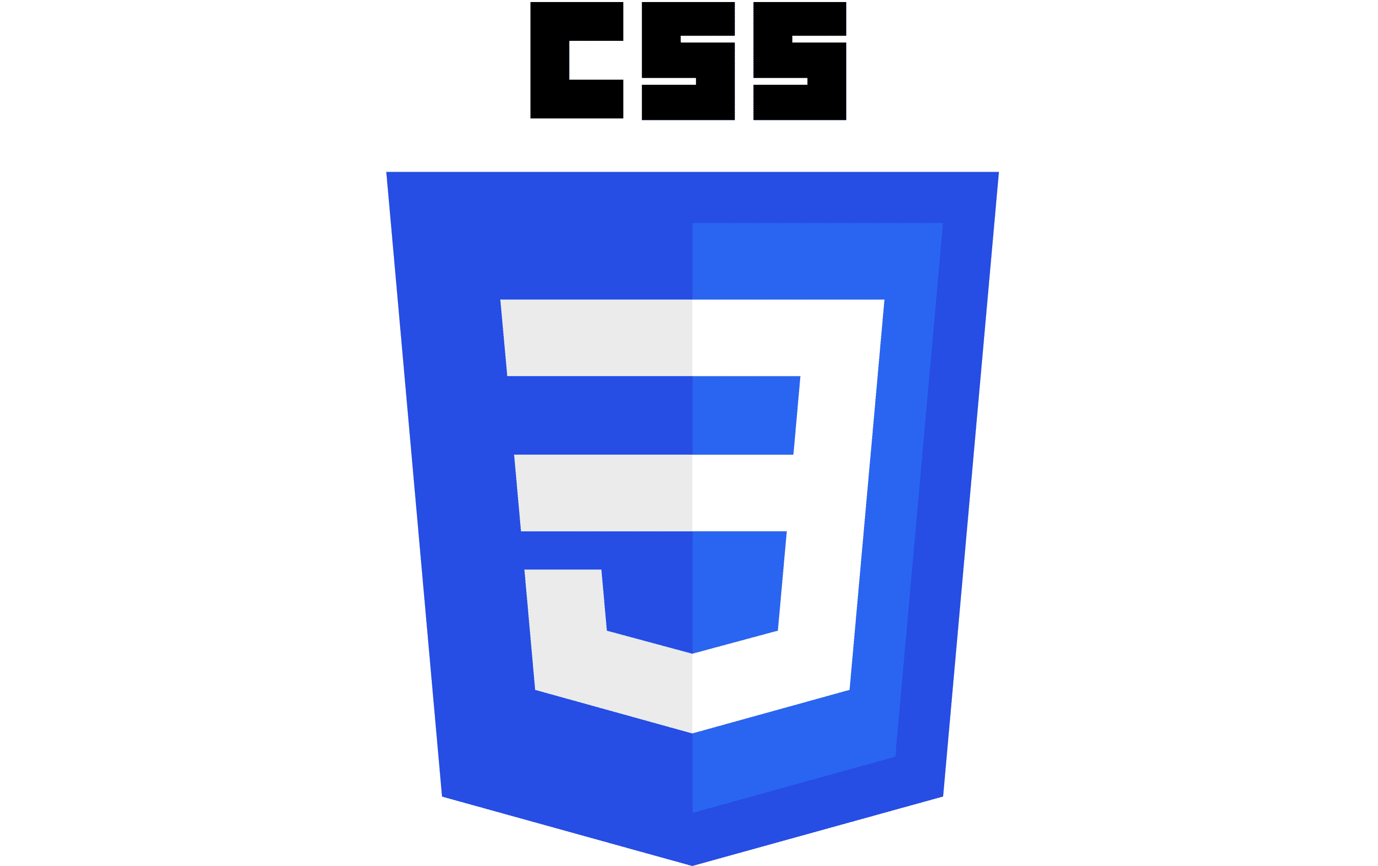 CSS Icon